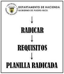 How to file the Return for Professional Services in Puerto Rico?