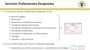 How to file the Return for Professional Services in Puerto Rico?